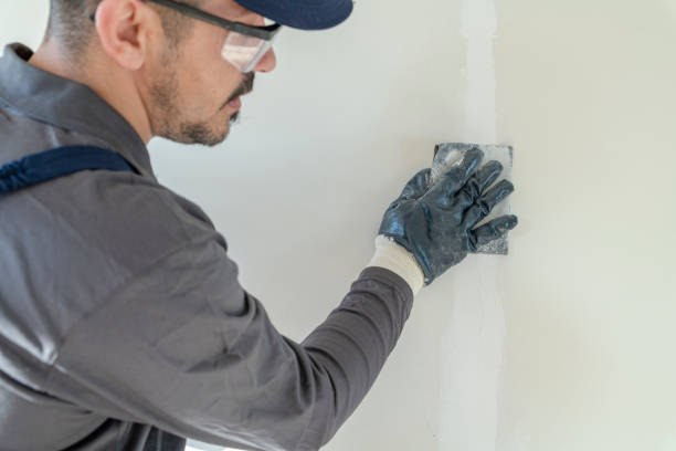 Best Wallpaper Removal and Painting  in Lawnside, NJ